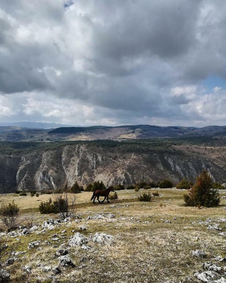 Etno Domacinstvo Saponjic Ξενοδοχείο Nova Varoš Εξωτερικό φωτογραφία